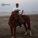 Horse Harness Fitting Guide Lamo Horse Harness Equipment Led Light Up Horse Harness