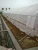 Import hot sale and long service life foldable single span greenhouse from China