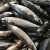 Import hot sale canned mackerel fish from china from China