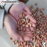 Hot sale PLC control microwave Baking and Sterilizing Machine for peanut