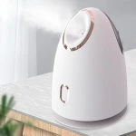 Hot sale professional  Portable facial steamer nano mist sprayer for Home Sauna SPA