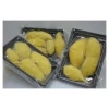 Hot Selling Dried Durian Fruit Musang King Fresh Seed Pulp