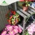 Import HX56 Earthcare 3 Tier Garden scaffold Kit Series Two layer staging Three layer staging with 2 3 5 seed trays from China