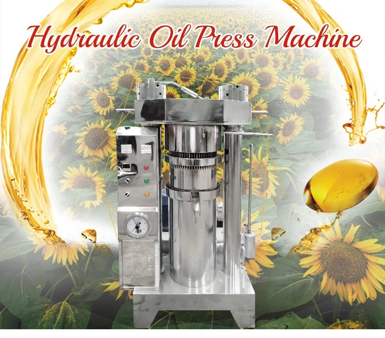 hydraulic sesame oil press machine cold press hydraulic oil press machine