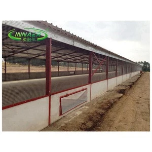 INNAER professional  design and construct open chicken steel structure house