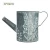Import IVY Rustic Metal Floral Pot Tin Water Kettle Flower Shower Container  Watering Can Home Garden Decor Flowers Bucket from China