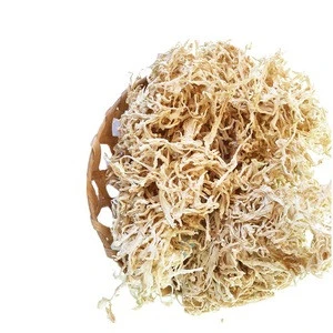 Japan quality Sliced Sun Dried Radish Fresh Processed Food Organic With Vacuum Pack