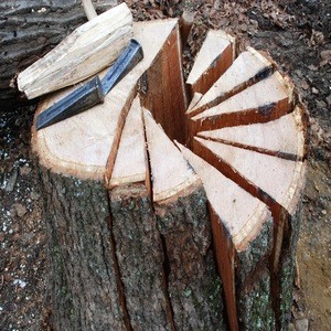 Kiln Dried Split Firewood
