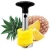 Import Kitchen gadgets 2020 accessories pineapple peeler corer 304 stainless steel vegetable slicer cutter with round handle from China