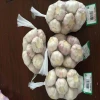 laiwu 5 cm white fresh garlic for sale