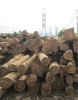 Lao TEAK Wood TIMBER good quality