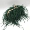 light and graceful green ostrich feather ladies clutch bags evening bags for party