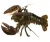 Import Live Boston Lobster from USA