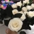 Import Long Lasting Roses Pure Color Real Fresh Cut Flowers Preserved Rose with Stem from China