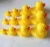 Import Lovely rubber Duck Bath Squeeze Water Spraying Shower Toy for party theme with customized Logo from China