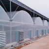 Low Cost Customized Agriculture Plastic Film Greenhouse