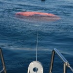 Marine Umbrella Sea Ship Para Anchor For Sale