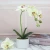 Import Mini bonsai artificial flower silk butterfly orchid bonsai for home decoration from China