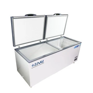 Mini Propane Gas Mobile Kitchen D Kerosene Fish Meat Storage Salad Bar Refrigerator Freezer Fridge With Glass Door