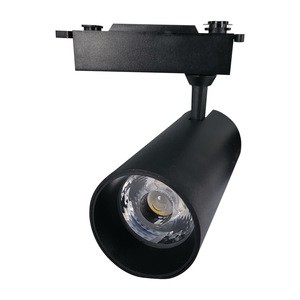 Modern adjustable mobile 10w 20w 30w two wire line recessed magnetic led  cob track light