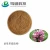 Import Natural Plant Extracts Chinese Prepared  Leonorus cardiaca Motherwort Extract Solvent Extraction from China