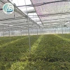 Net For Garden Greenhouses