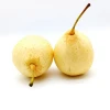 New Arrival 2020 fresh pear cheap pears online wholesale with high quality