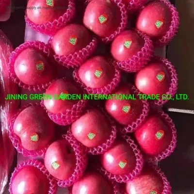New Crop Chinese FUJI Apple for Export Good Quality From China