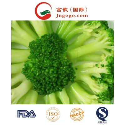 New Crop High Quality Frozen Broccoli and Frozen Vegetables