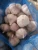Import New crop red garlic fresh / garlic shippers/hybrid garlic seed from China