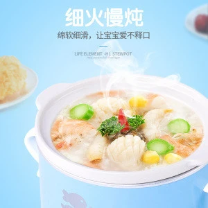 New Product House Design Slow Electric Cooker For Baby