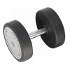 Newest Popular Weight Lifting Round Head Rubber Coated Dumbbell For Gym