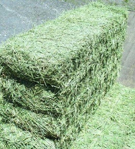 Non-GMO Alfafa Hay for Animal Feeding Alfalfa / Timothy Hay &amp; Bermuda Hay