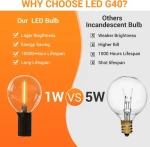 Northland in stock sample support G40 String Lights LED Bulb string fairy Lights Glass Globe ball LED Single Core Bulb Light
