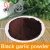Import Organic bulk black garlic powder popular overseas with high nutrition from China