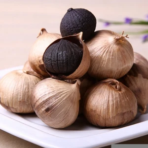 Organic natural fermented black garlic high quality health food manufacturer in Shandong China