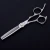 Import outstanding hair cutting stainless steel professional barber pet scissors shears from China