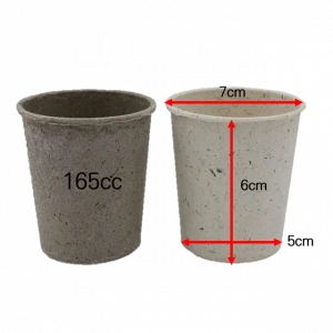 paper cup	eco-friendly	non-plastic	biodegradable	seaweed extract	cup	natural algae
