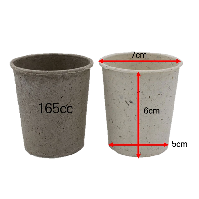 paper cup	eco-friendly	non-plastic	biodegradable	seaweed extract	cup	natural algae