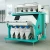 Import Peanut Corn Wheat Rice Coffee Bean Color Sorter Sorting Machine For Sale from China