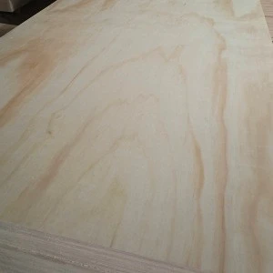 Pine Plywood Board