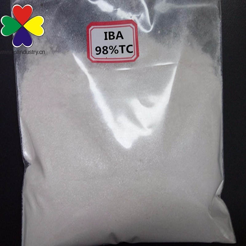 Plant Auxin Stimulate Rooting IBA Powder IBA Plant Growth Regulator