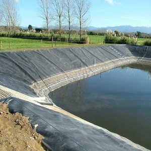 Plastic HDPE Fabric Geomembrane Waterproofing Agriculture Liner for Fish Pond
