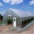 Import Plastic Tempered Glass Greenhouses Made In China from China