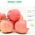 Import Pome Fruit Product Type and Apple Type organic Red/Royal Delicious apple from China