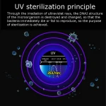Popular uv sterilizer cabinet Multi-Function Disinfection Box Cell Phone UV Sterilizer Cleaner