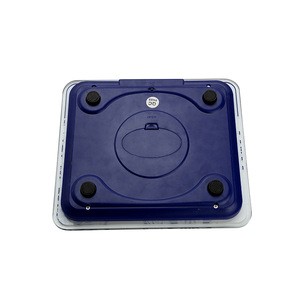 portable manual electronic digital weighing scale