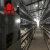 Poultry Breeding Equipment H Type Egg Chicken Layer Battery Cages Laying Hens