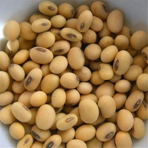 Premium Quality Food Organic Soybean/ Soya Bean/ Soybeans Seeds factory price