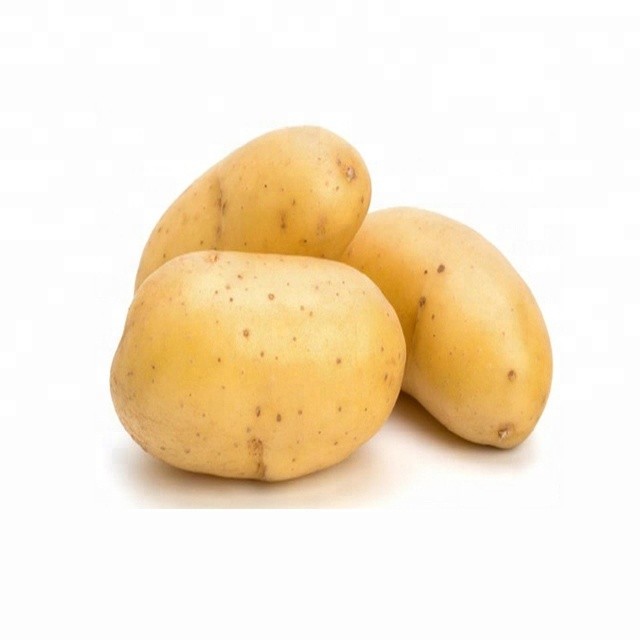 Premium Quality Fresh Potato / Fresh Potato / Potato Supplier In India